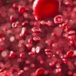 Why Blood Banks Save Lives: Understanding Availability, Safety, and Donation